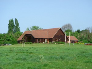 willow tree house